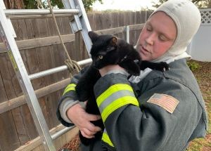 photo by Jackson Fire Department